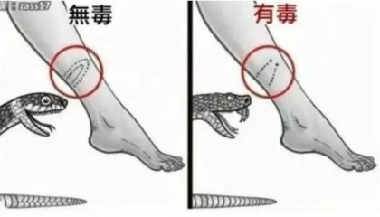 轻松一刻：祝大家七夕节快乐，有情人终成眷属~